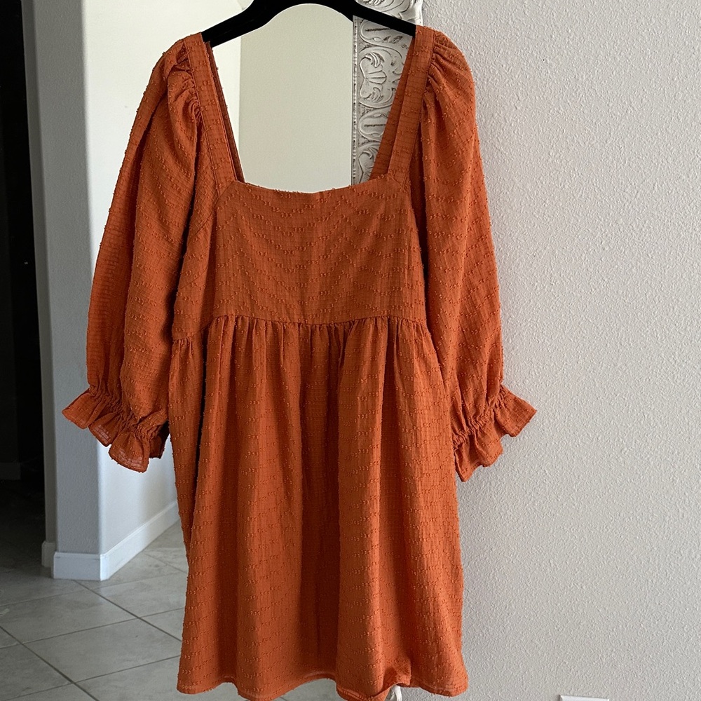 Madewell Puff Sleeve Waisted Textured Mini Dress in Mulled Cider